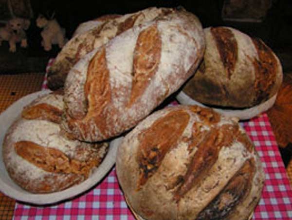 Pain au levain
